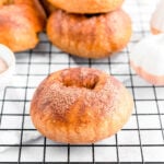 pumpkin spice bagel with cinnamon sugar topping