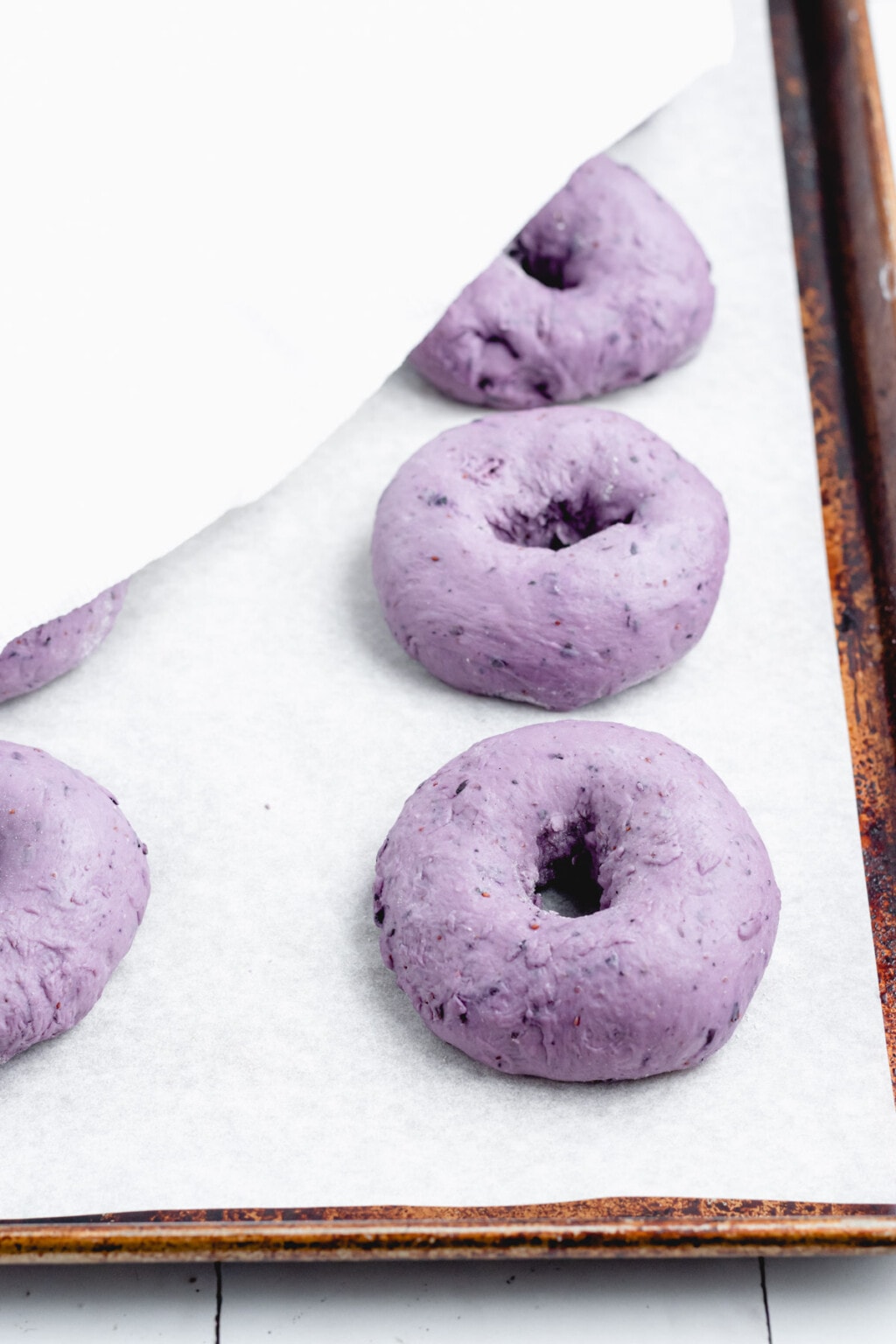 Homemade Chewy Blueberry Bagels » the practical kitchen