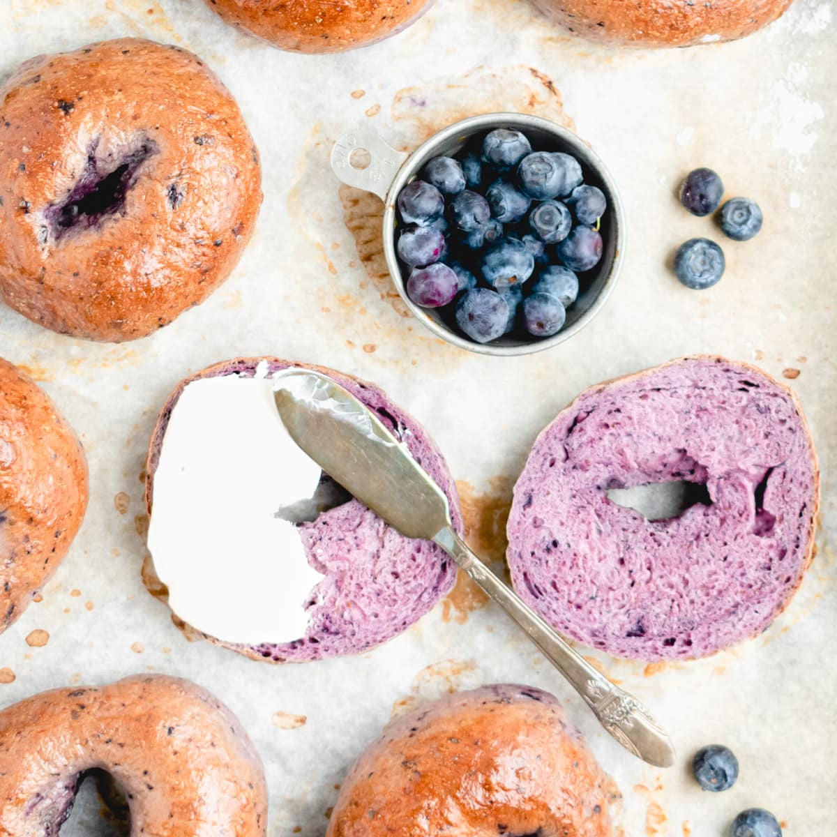 Homemade Chewy Blueberry Bagels The Practical Kitchen Homemade Chewy Blueberry Bagels The Practical Kitchen