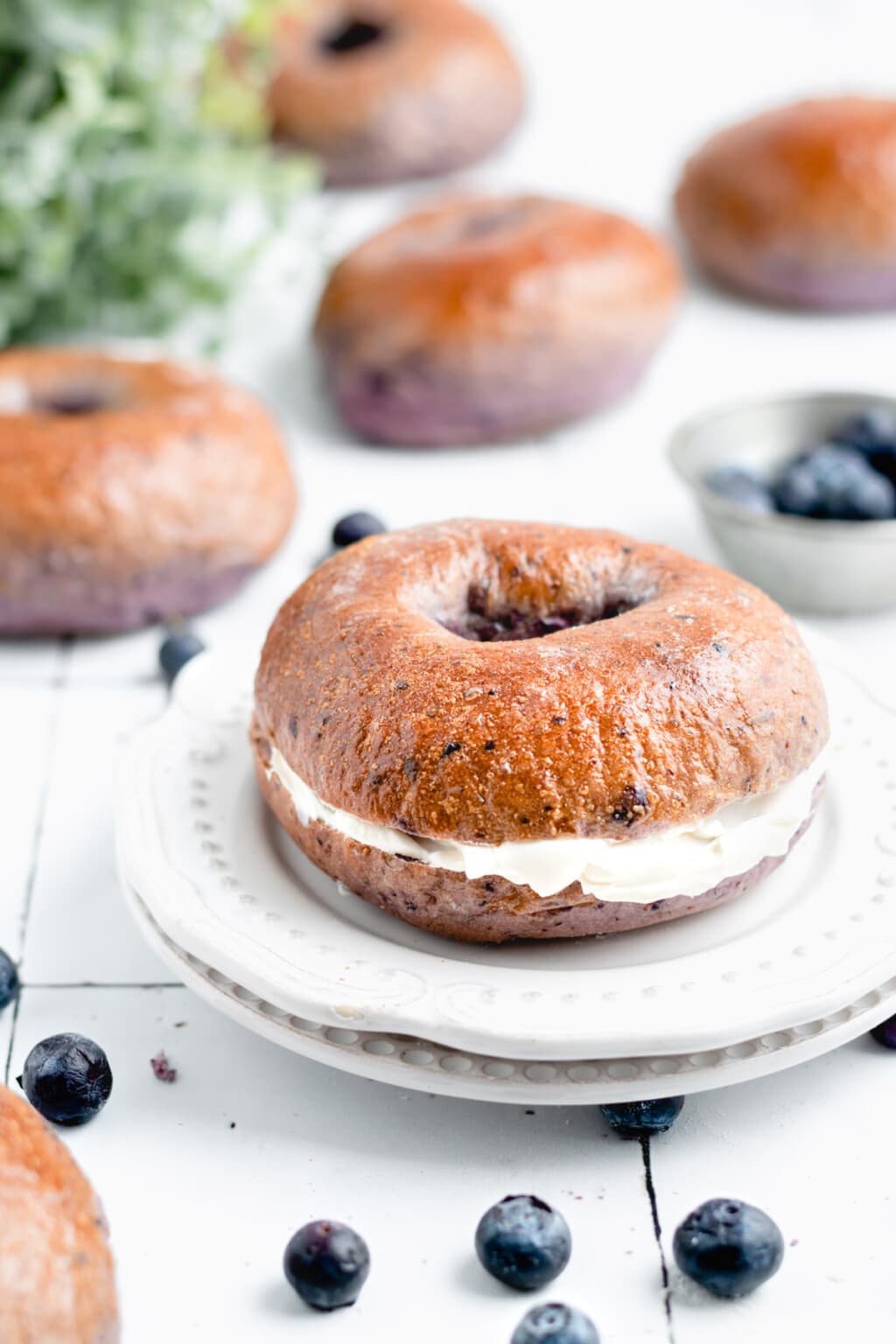Homemade Chewy Blueberry Bagels » the practical kitchen