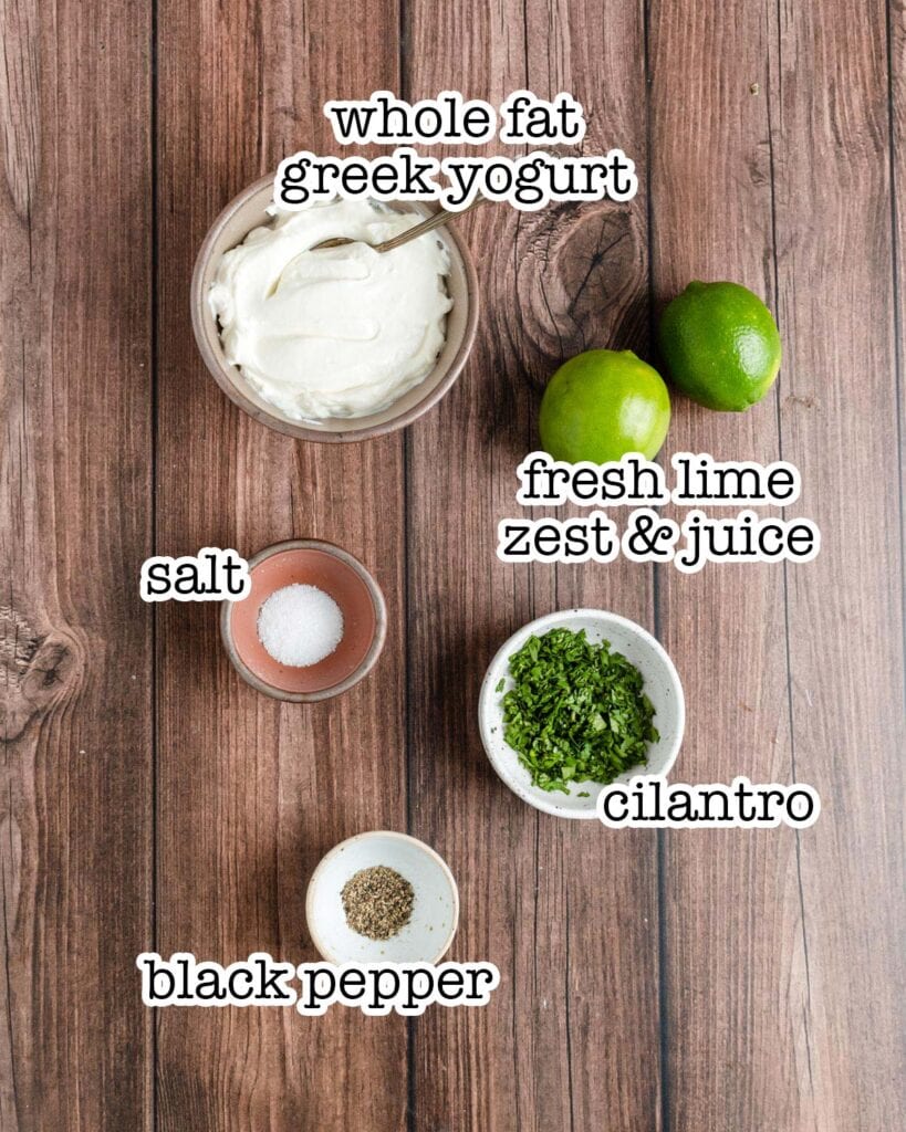 5Minute Cilantro Lime Yogurt Sauce » the practical kitchen