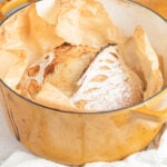 a large no knead bread with a dramatic ear in a mustard colored dutch oven with parchment paper.