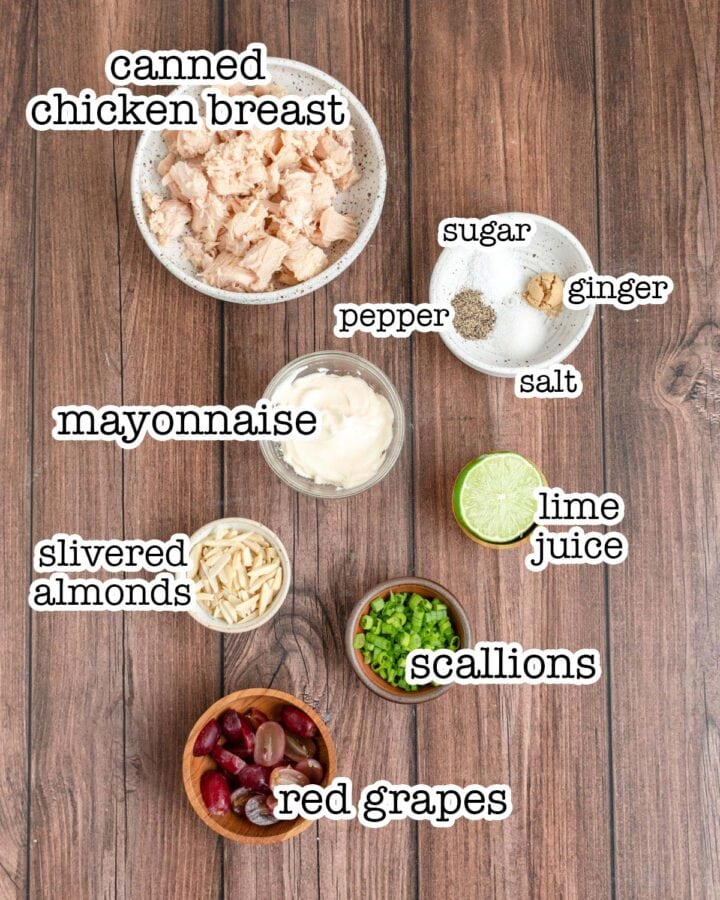 Easy DeliStyle Chicken Salad with Mayo & Grapes » the practical kitchen