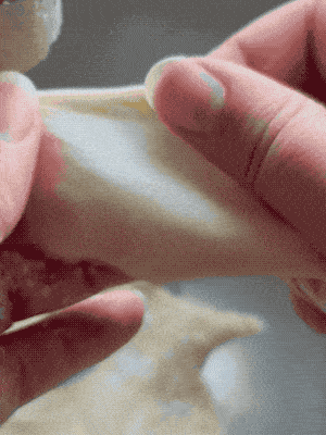 Stretching a small piece of dough thin enough to see light through it without tearing.