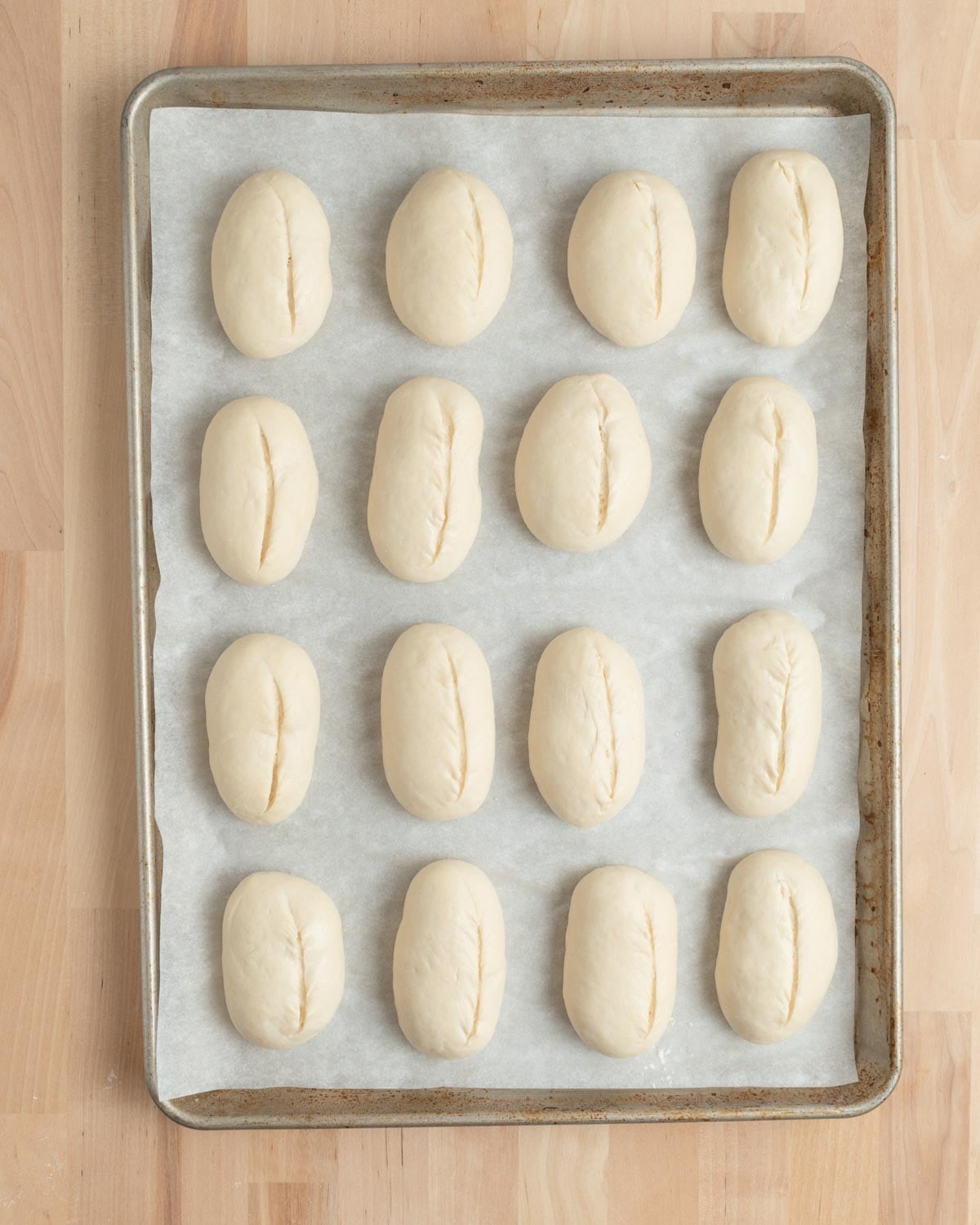 A baking tray lined with parchment paper holds sixteen evenly spaced, unbaked bread rolls, each scored with a single line down the center, arranged in a 4 by 4 grid.